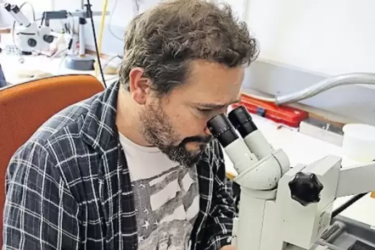 Ralf Eßwein untersucht eine Zierscheibe aus Iran.