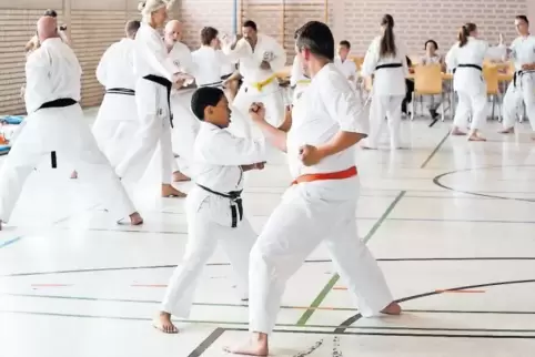 Viel los im Dojo: südafrikanische Karatekas und ihre Mehlinger Gastgeber beim gemeinsamen Training.