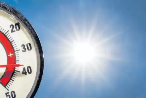 Während Palzki mit Sommersonne und sengenden Temperaturen kämpft, ärgert sich Jochen Marktbauer im Juli noch über die tiefstehen