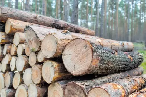 Die Holzvermarktung wird zu einem komplizierten Prozess.