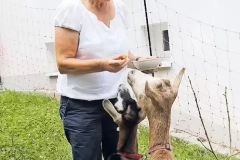 Irene Jennes führt die Leser durch das SOS-Kinderdorf – wo auch Ziegen zu Hause sind.