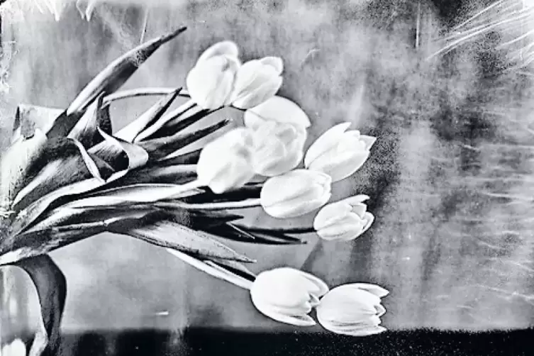 Steffen Diemer hat mehrfach Tulpen-Stilleben fotografiert.