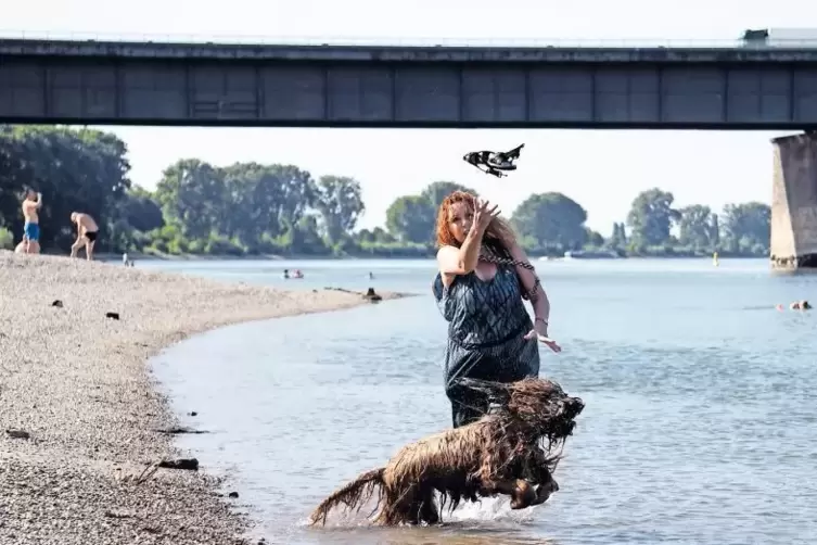 Abkühlung für Zwei- und Vierbeiner: Andrea Buttmann aus Ludwigshafen kommt gerne mit ihrem Hund an den Kiesstrand unter der Theo