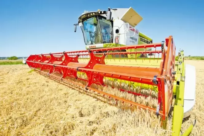 Jetzt wird wieder gedroschen. Wie ertragreich ein Getreideacker ist, hängt auch von der Bodenqualität ab. Jetzt wird wieder gedroschen. Wie ertragreich ein Getreideacker ist, hängt auch von der Bodenqualität ab.