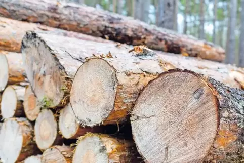 Wegen kartellrechtlicher Bedenken wird die gemeindliche Holzvermarktung zum kommenden Jahr beendet.