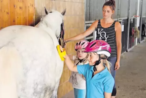 Lea-Marie (vorne) und Alexia bürsten Pony Curly, Alisha Klein von der Etzenbacher Mühle leitet die Kinder der Reit-AG des Winter