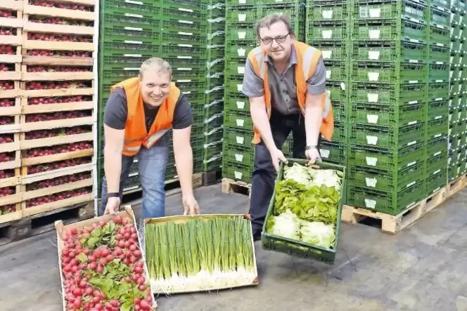 Massenweise Frischgemüse: Benjamin Killet (links) kümmert sich um den Bereich losen Salat, Franz-Josef Mayer behält als Logistik