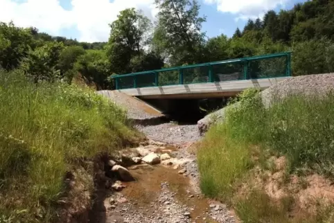 Die Mückenbachbrücke ist bereits fertig. Auch sie ist ein Teil der neuen Ortsumgehung Bad Bergzabern. Foto: VAN