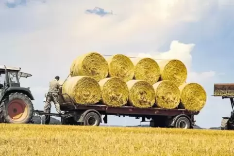 Die Trockenheit bereitet den Landwirten Sorgen: Zum Teil fällt der dritte Grünschnitt aus.