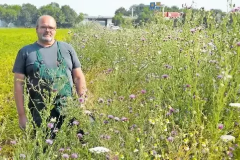 Klar gefallen Landwirt Martin Steig die bunten Blüten am Ackerrand. Er hat mit seinen Kollegen in Mutterstadt fünf Blühstreifen 