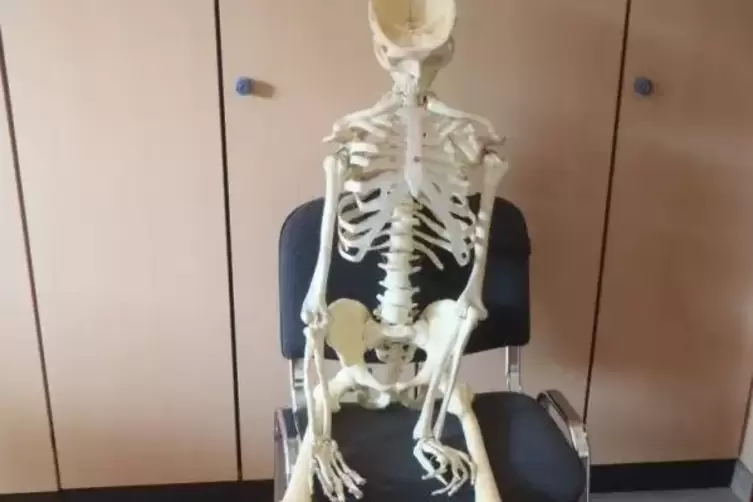 Wer hat dieses Skelett schon einmal gesehen? Foto: Polizei 