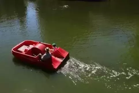 Kommt bei Ausflüglern gut, bei Naturschützern schlecht an: die Idee, solche Boote ständig auf dem Roxheimer Altrhein fahren zu l