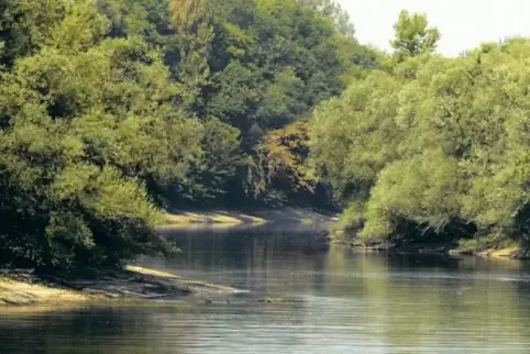Aus dem Otterstadter Altrhein kommt das Wasser, mit dem viele Gemüsefelder in der Vorderpfalz beregnet werden.