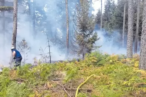Gestern Nachmittag bekämpften 120 Wehrleute am Leuchtenberg bei Höningen das Feuer.