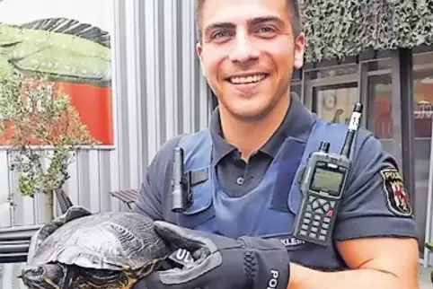 Die Wasserschildkröte und ihr Retter.