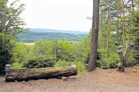 Ein Ort mit Weitblick: Der Kaiserslauterer Forst will mit dem Aussichtspunkt „Weltachsblick“ im Erlenbacher Wald auf einen Stein