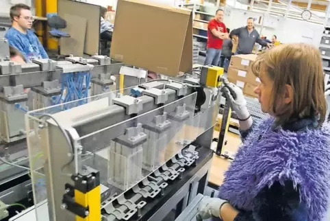 Montagearbeiten für die Automobilbranche gehören zum Kerngeschäft der Südpfalz-Werkstatt in Wörth.