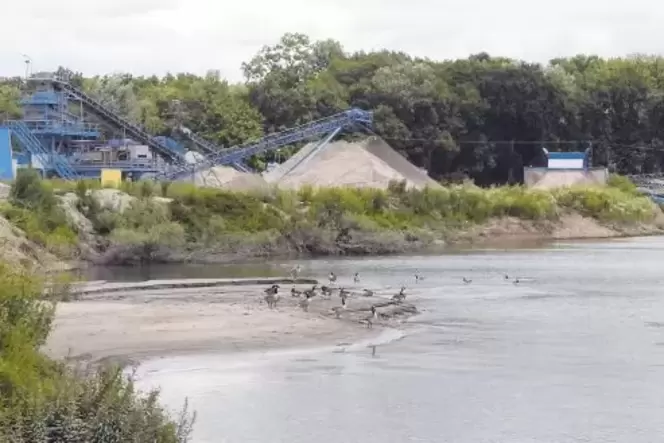 Die Bannweide bei Otterstadt: Dort fördert die Firma Rohr seit mehr als 30 Jahren Kies und Sand. Das will sie auch in den kommen Die Bannweide bei Otterstadt: Dort fördert die Firma Rohr seit mehr als 30 Jahren Kies und Sand. Das will sie auch in den kommen