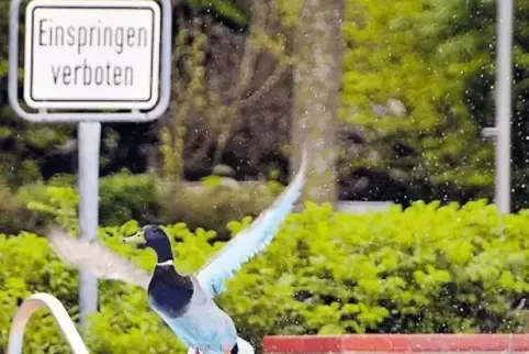Seit dieser Woche hat das Bad wieder jeden Tag auf.