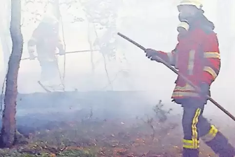 2015: Großbrand im Wald bei Speyer.