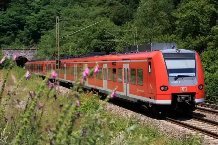 Normalerweise fahren die S-Bahn-Linien S 1 und S 2 bis nach Osterburken und Mosbach. Vom 28. Juli bis zum 3. September ist aber 