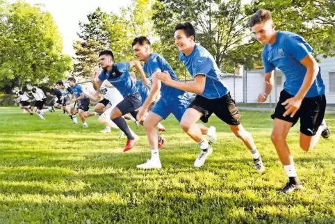 Lauftraining: der FC Speyer 09 II am Mittwochabend auf der Bezirkssportanlage.