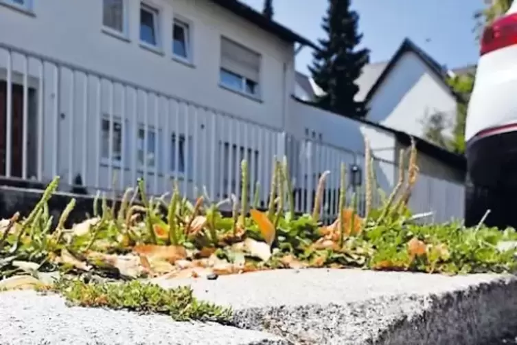 Manche B&uuml;rgersteige, wie hier in der Kiesstra&szlig;e, sind marode.