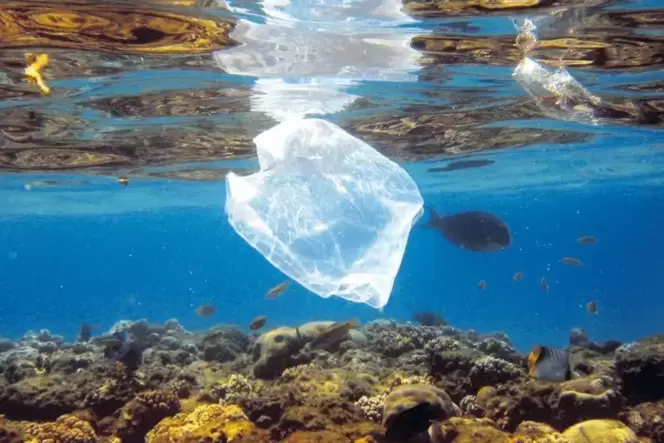 So soll es nicht sein: Eine Plastiktüte treibt im Meer.