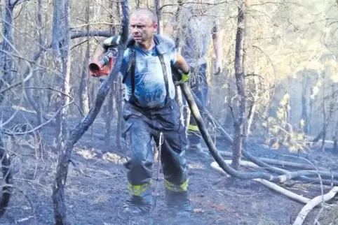 Voller Einsatz im Brandgebiet gestern Abend im Freinsheimer Wald nahe des Rahnfels.