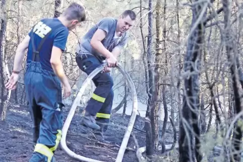 Schwierige Löscharbeiten auf ungewohntem Terrain: Feuerwehrleute am Dienstag im Wald hinter der Lindemannsruhe.