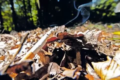 Ein Waldbrandrisiko, das leicht vermeidbar ist: eine weggeworfene Zigarettenkippe.