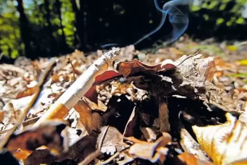Ein Waldbrandrisiko, das leicht vermeidbar ist: eine weggeworfene Zigarettenkippe.