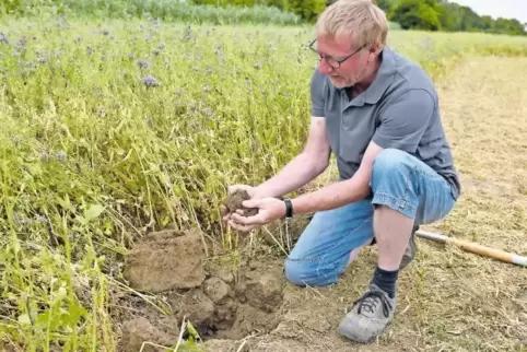 Rainer Knies begutachtet den Boden auf einem seiner Bioanbaufelder. Dort wachsen mehrere Sorten von Pflanzen, deren Zweck es ist