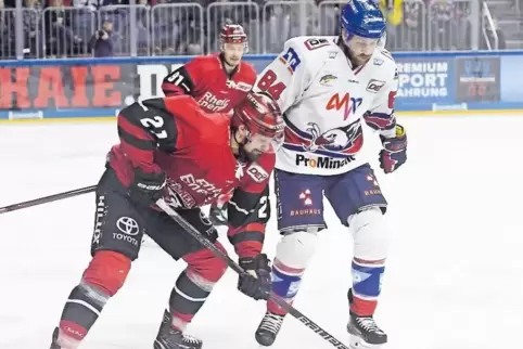 Auch als Gegner der Adler machte er Mannheim auf sich aufmerksam: Nico Krämmer (links), hier als Kölner Hai vergangene Saison ge