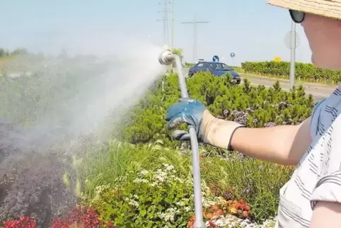 Ohne Wasser sind Grünanlagen bald nicht mehr grün.
