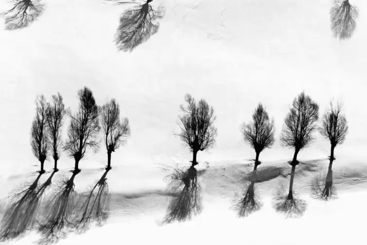 Schatten im Schnee: Fotografie aus der Serie „Snow White“, die zwischen 1978 und 2004 entstand.