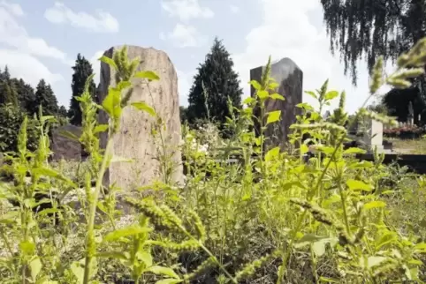 Das Friedhofsareal der Kurstadt ist 21.000 Quadratmeter groß, und es gibt nur einen Friedhofspfleger. Jetzt ist eine zusätzliche