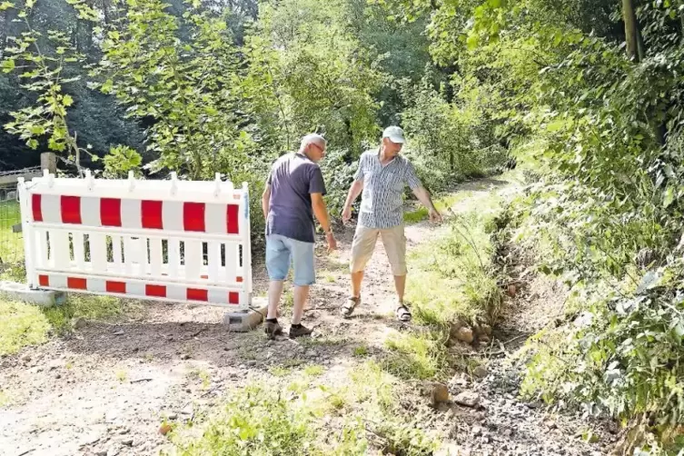 Hier bahnen sich Wassermassen ihren Weg: Walter Braunbach (links) und Werner Schwarz f&uuml;rchten, dass sich die Gefahrenlage noch v
