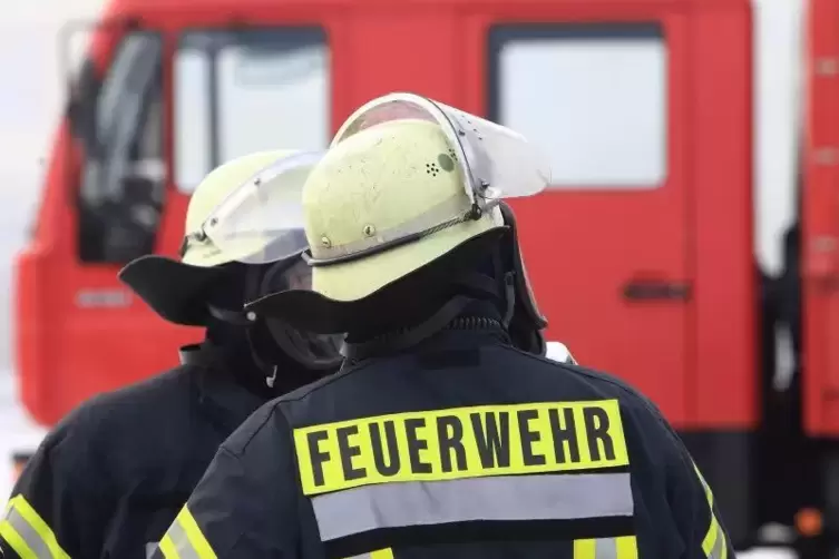 Innerhalb von einer Stunde gingen bei der Mannheimer Feuerwehr mehr als 180 Notrufe ein. Symbolfoto: dpa