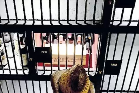 Blick in die Schließfächer der Weinbank: wer ein solches besitzt, kann täglich kommen.