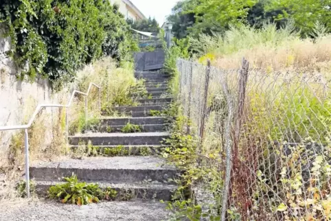 Nicht gerade in allerbestem Zustand: der Treppenweg zwischen Ring- und Bergstraße in Erlenbach. Die Verwaltung kündigt an, dass 