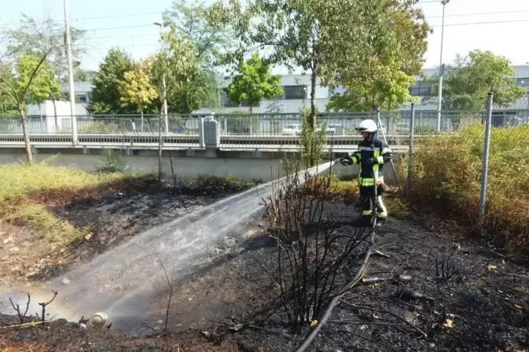 In Speyer hat ein Grünstreifen gebrannt. Der Rauch war weithin sichtbar.  Foto: Feuerwehr Speyer 