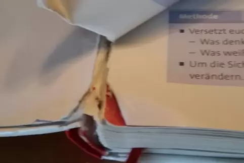 schulbuch.jpg