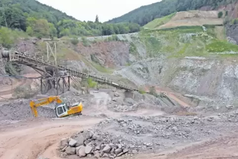 Pflanzen haben sich im Göcklinger Steinbruch zwar schon ausgebreitet, aber dies ist noch nicht der endgültige Rekultivierungszus
