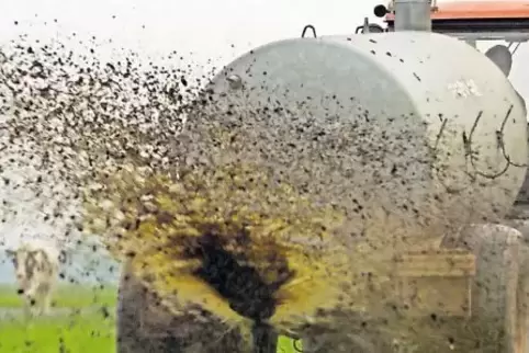 18 Prozent des Grundwassers in Deutschland halten den geltenden Grenzwert von 50 Milligramm Nitrat je Liter nicht ein. Grund sin