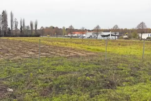 Am westlichen Stadtrand von Landstuhl soll ein neues Gewerbegebiet entstehen.