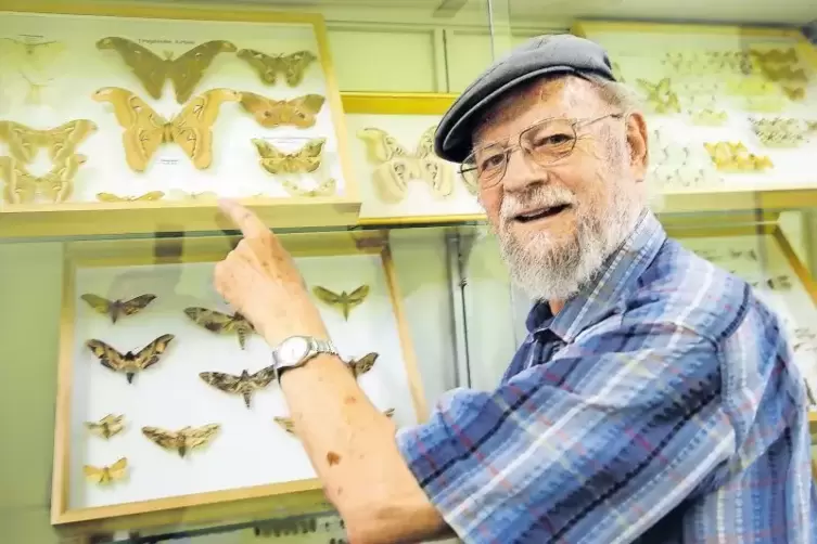 Erich Bettag vor einer der Vitrinen: Schmetterlinge machen einen großen Teil seiner Sammlung aus.