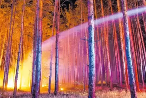 Die Kiefer-Monokulturen waren leichte Beute für die Flammen. Zurück blieben verbrannte Erde – und erschöpfte Feuerwehrleute.