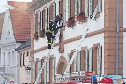 Mutig, ohne Angst klettern die Kinder die Leiter hinunter.