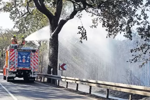 Die Feuerwehr konzentrierte sich gestern auf das Löschen von Glutnestern.
